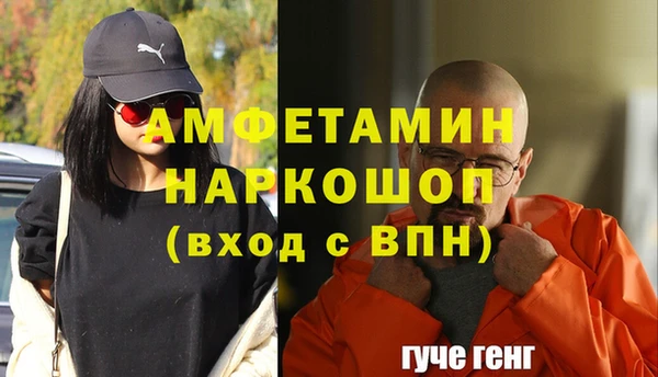дмт Пересвет